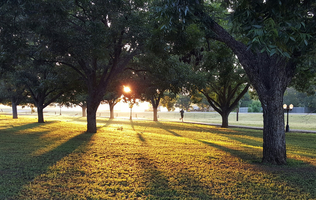 5 easy ways to start getting fit